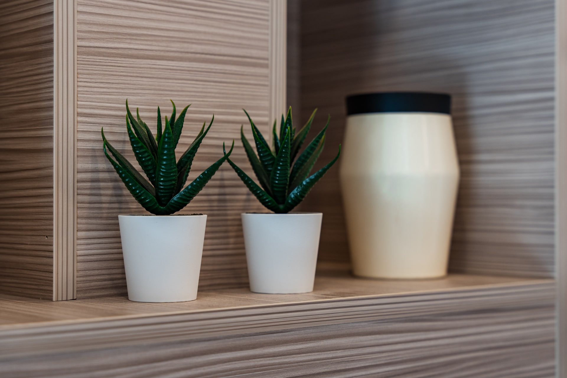 Quadruple studio ground floor